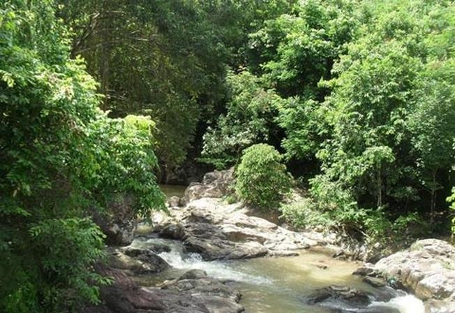 Khu bảo tồn thiên nhiên Sông Thanh, Quảng Nam được chuyển hạng lên Vườn quốc gia. Ảnh: TT