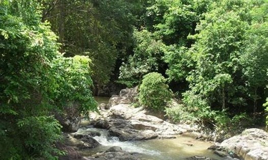 Khu bảo tồn thiên nhiên Sông Thanh, Quảng Nam được chuyển hạng lên Vườn quốc gia. Ảnh: TT
