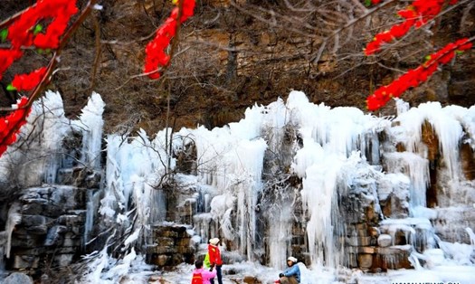 Sắc hoa đỏ nổi bật trên nền thác nước đóng băng trắng xóa. Ảnh: Tân Hoa Xã