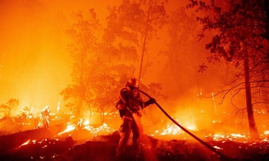 Lính cứu hỏa dập lửa trong đám cháy Creek ở khu vực Cascadel Woods của hạt Madera, California, Mỹ. Thảm họa cháy rừng trong năm 2020 tác động tới nhiều nơi trên thế giới, trong đó có Mỹ, Australia... Ảnh: AFP.