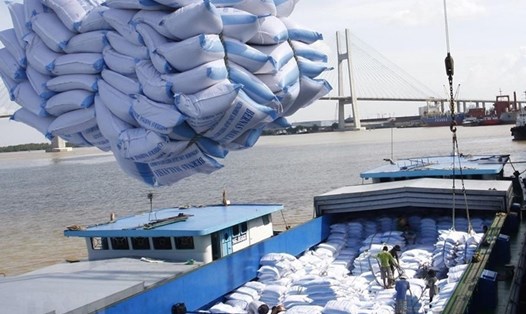 Xuất khẩu gạo Đồng bằng Sông Cửu Long sang Châu Âu. Ảnh: TTXVN