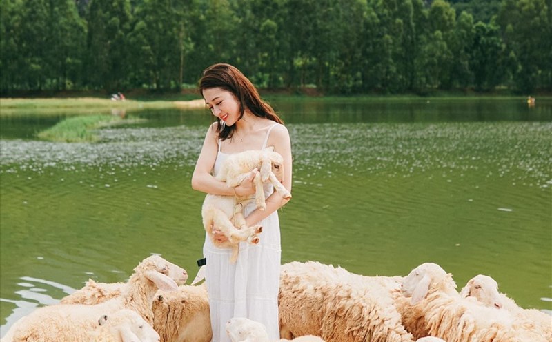 Đồng cừu Gia Hưng đang là điểm check in hot bậc nhất huyện Gia Viễn, Ninh Bình. Ảnh: Minh Hải