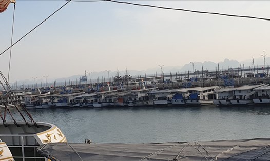 Hàng trăm tàu du lịch ở vịnh Hạ Long (tỉnh Quảng Ninh) mòn mỏi chờ khách tại bến. Ảnh: Nguyễn Hùng