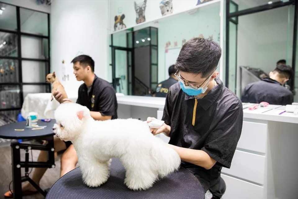 Top 74 về mô hình kinh doanh chăm sóc thú cưng hay nhất  Tin học Đông Hòa