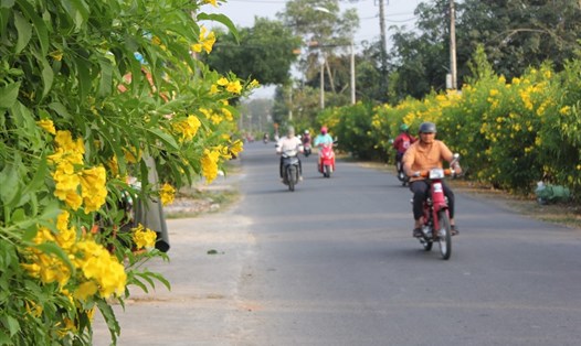 Một tuyến đường theo mô hình nông thôn mới kiểu mẫu tại Đồng Nai. Ảnh: NTM