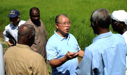 GS-TS Võ Tòng Xuân trong lần đến Châu Phi hướng dẫn người dân trồng lúa chiến thắng giặc đói. Ảnh: Tư liệu VTX