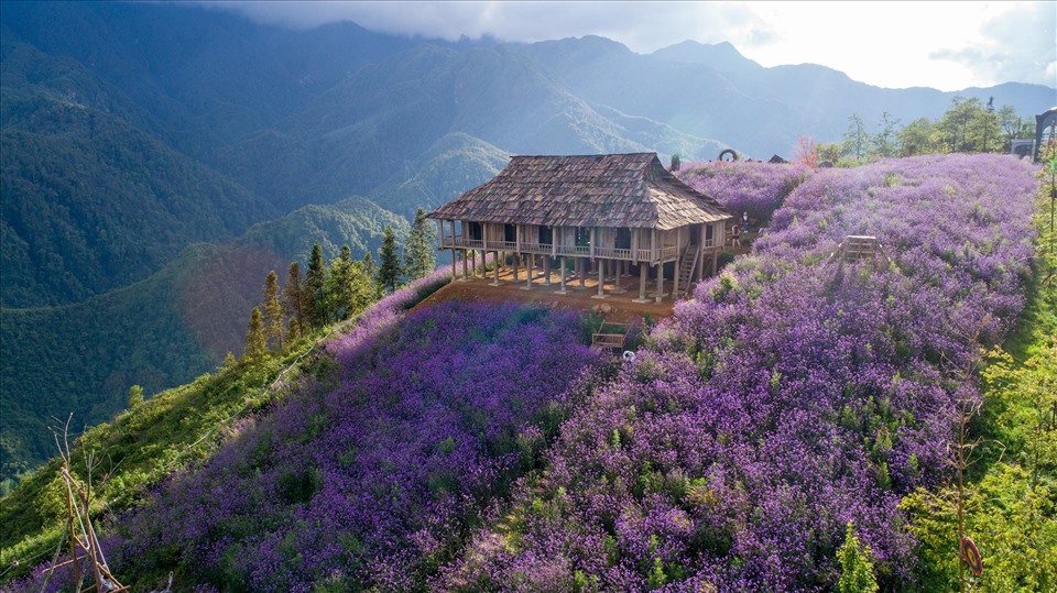 Sapa là điểm đến rất được yêu thích của du khách trong và ngoài nước. Ảnh: Hà.