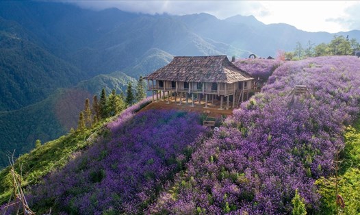 Sapa là điểm đến rất được yêu thích của du khách trong và ngoài nước. Ảnh: Hà.