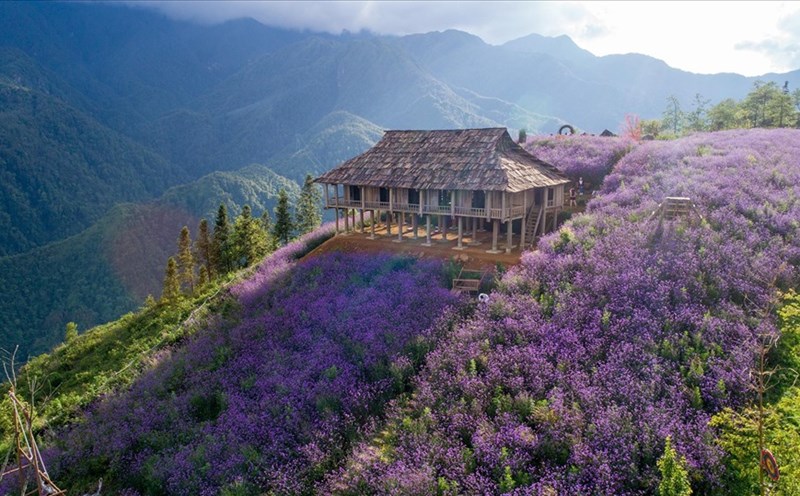 Sapa là điểm đến rất được yêu thích của du khách trong và ngoài nước. Ảnh: Hà.