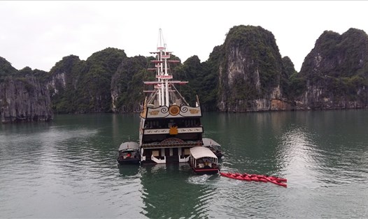 Nhiều chủ tàu du lịch vịnh Hạ Long cũng tham gia chương trình kích cầu của UBND tỉnh Quảng Ninh. Ảnh: Nguyễn Hùng