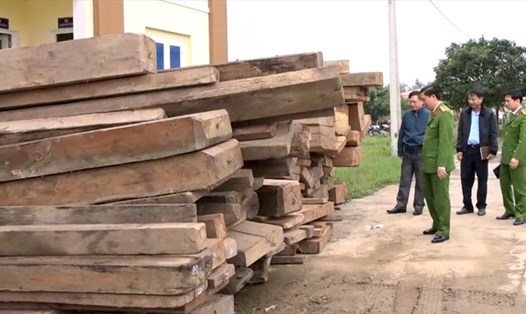 Số gỗ khai thác trái phép bị thu giữ. Ảnh: CAQB