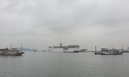 Siêu du thuyền Costa NeoRomantica cập vịnh Hạ Long sáng nay (10.2.2020). Ảnh: Nguyễn Hùng