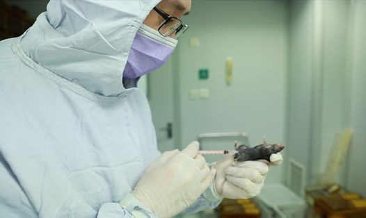 Trung Quốc bắt đầu thử vaccine nCoV trên chuột. Ảnh: CGTN