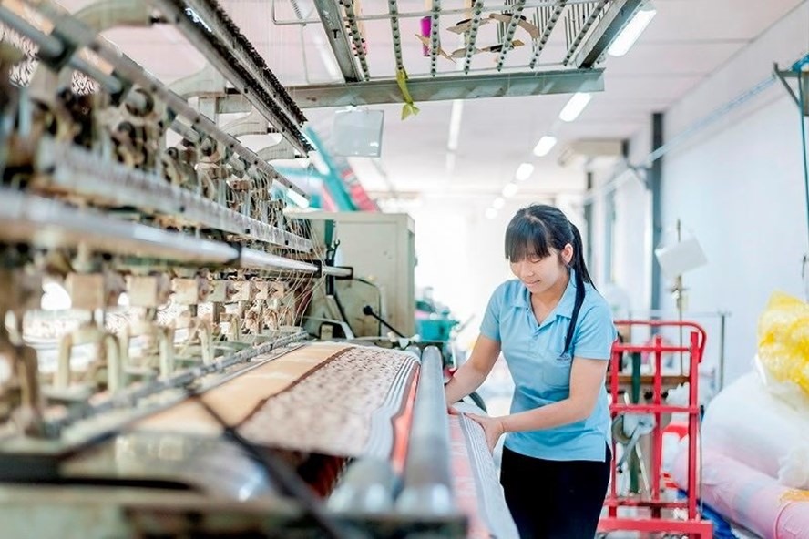 Các ngành dự kiến sẽ được hưởng lợi nhiều từ Hiệp định này đều là những ngành Việt Nam vốn có lợi thế cạnh tranh cao như giày, dép, mũ, hàng dệt may và nông thủy sản (Ảnh minh hoạ). Ảnh TL