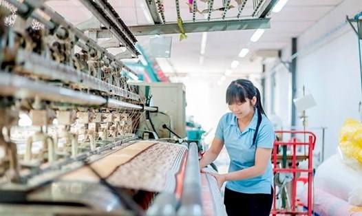 Các ngành dự kiến sẽ được hưởng lợi nhiều từ Hiệp định này đều là những ngành Việt Nam vốn có lợi thế cạnh tranh cao như giày, dép, mũ, hàng dệt may và nông thủy sản (Ảnh minh hoạ). Ảnh TL