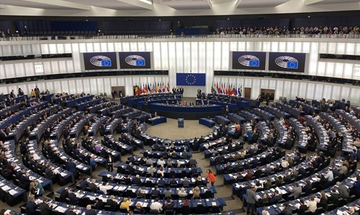 Nghị viện Châu Âu phê chuẩn EVFTA và EVIPA. Ảnh: BNG