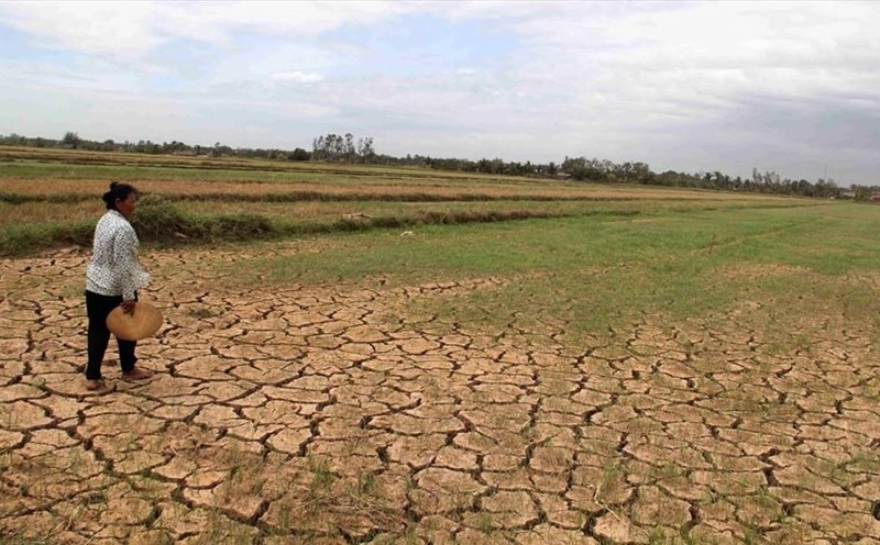 Đồng bằng sông Cửu Long: Tìm lối ra giữa vòng vây hạn mặn