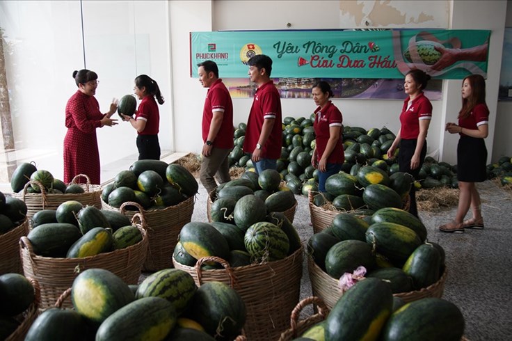 Hỗ trợ tiêu thụ 20 tấn dưa hấu cho nông dân tỉnh Gia Lai