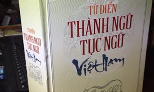 Cuốn từ điển Thành ngữ tục ngữ Việt Nam bị "tố" có nhiều chi tiết sao chép trong cuốn sách của tác giả Hoàng Tuấn Công. Ảnh: Hoàng Tuấn Công.