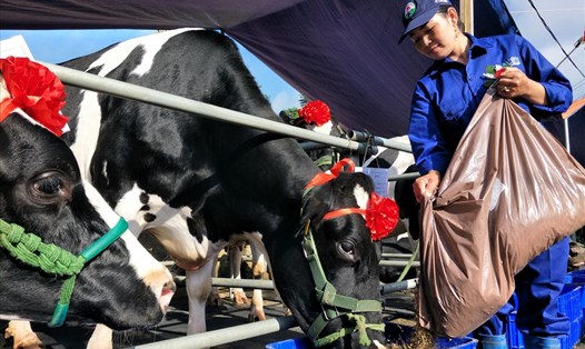 Việt Nam kỳ vọng thêm nhiều doanh nghiệp có thể xuất khẩu sữa sang thị trường Trung Quốc. Ảnh: Trần Quang