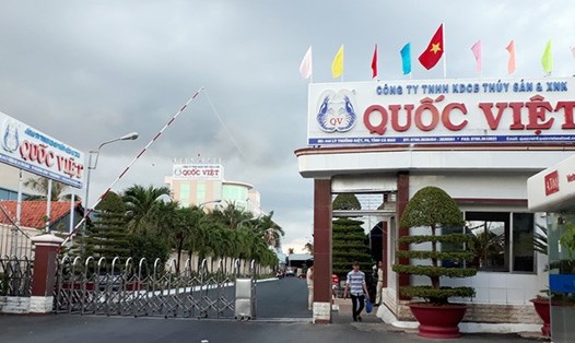 Công ty Quốc Việt vừa bị UBND tỉnh Cà Mau xử phạt 210 triệu đồng (ảnh Nhật Hồ)
