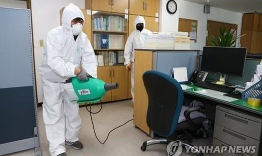 Các nhân viên tẩy trùng tại một cơ quan chính phủ ở Daegu hôm 22.2. Ảnh: Yonhap.