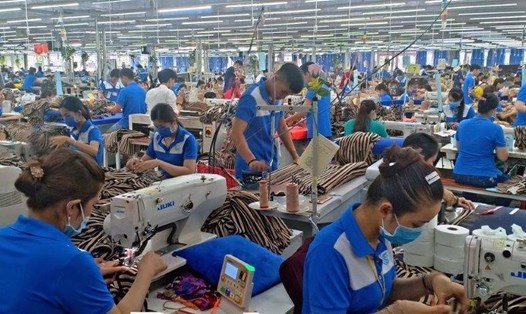 Dệt may là ngành khó thu hút lao động sau Tết Nguyên đán, nhưng tại Bạc Liêu trên 98% người lao động đã quay trở lại làm việc. ảnh: Nhật Hồ
