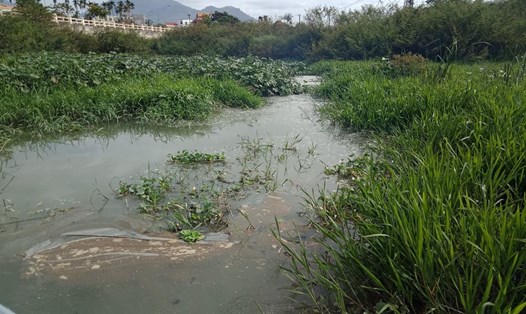 Các lò bún ở thị trấn Diên Khánh ngang nhiên xả thải ra sông Cái gây ô nhiễm môi trường nước. Ảnh: Nhiệt Băng