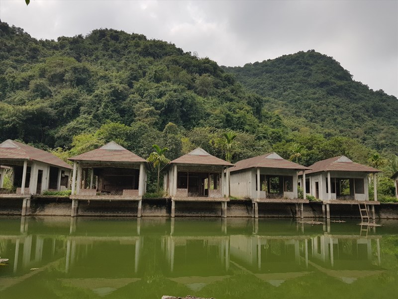 laodong.vn