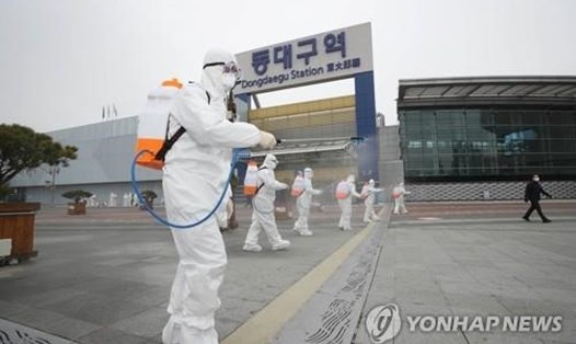 Các nhân viên y tế khử trùng tại thành phố Daegu, Hàn Quốc. Ảnh: Yonhap.