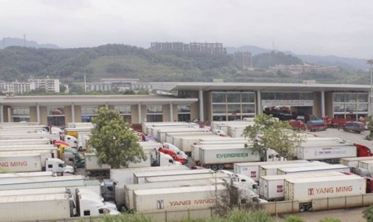 Nhiều container thanh long tại Cửa khẩu Kim Thành. Ảnh Vân Thảo.