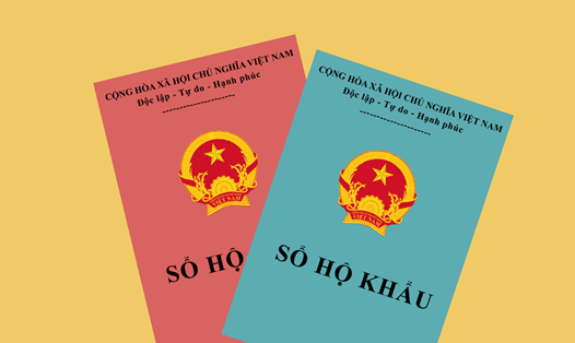 Có quốc tịch nước ngoài nhưng còn giấy tờ chứng minh về quốc tịch tại Việt Nam thì được coi là còn quốc tịch Việt Nam - Ảnh: T.L