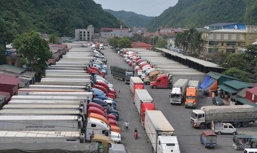 Gần 300 xe chở nông sản xuất khẩu sang Trung Quốc đang phải  nằm bãi chờ được thông quan. Ảnh: Kh.L