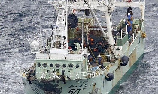 Tàu chở hàng Gouxing 1 va chạm với tàu cá Nhật Bản khiến 13 người mất tích, trong đó có 5 thuỷ thủ Việt Nam. Ảnh: Kyodo
