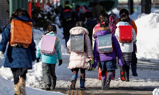 Các học sinh tiểu học ở Hokkaido. Trường học đóng cửa khiến các y tá phải lựa chọn giữa đi làm hay ở nhà trông con. Ảnh: Reuters