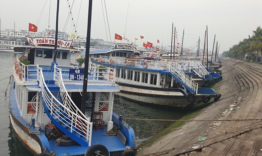 Hàng trăm tàu du lịch trên vịnh Hạ Long "nằm bờ" kể từ khi dịch COVID-19 bùng phát. Ảnh: Nguyễn Hùng