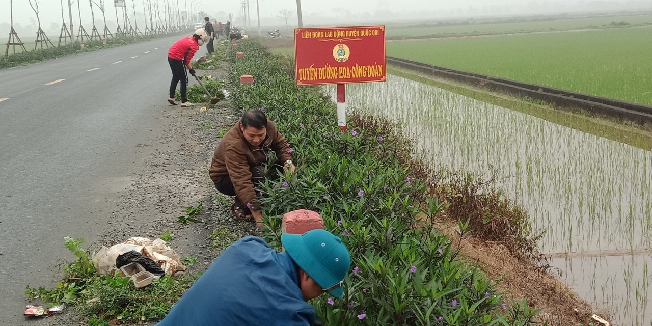 Tuyến đường hoa Công đoàn. Ảnh: Q.Bảy