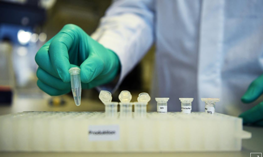 Nhân viên Philipp Hoffmann, thuộc công ty dược phẩm sinh học CureVac, trình diễn quy trình nghiên cứu vaccine chống COVID-19 tại một phòng thí nghiệm ở Tuebingen, Đức. Ảnh: Reuters
