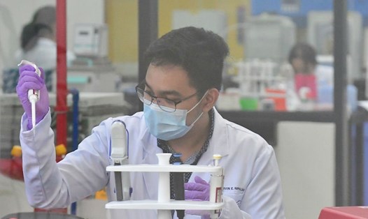 Các nhà nghiên cứu làm việc trong phòng thí nghiệm tại Trung tâm bộ gen Philippine. Ảnh: ABS-CBN.