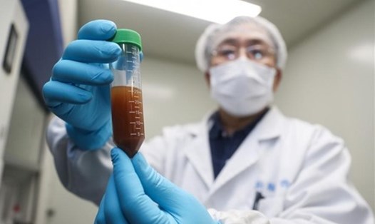 Một nhà nghiên cứu của Công ty Stermirna Therapeutics cho thấy thí nghiệm phát triển vaccine mRNA ngừa COVID-19 ở Thượng Hải, Trung Quốc. Ảnh: Xinhua