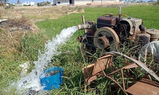 Các tỉnh Nam Trung Bộ phải đồng loạt lên phương án điều tiết, tiết kiệm nguồn nước vụ tới. Ảnh: Nhiệt Băng