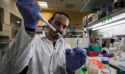 Một nhà khoa học người Israel tại một phòng thí nghiệm của Viện nghiên cứu MIGAL ở Kiryat Shmona, một trong những nơi đang nỗ lực để sản xuất vaccine ngừa COVID-19. Ảnh: AFP/Getty.