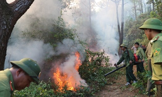 Hình ảnh vụ cháy rừng ở Hà Tĩnh
