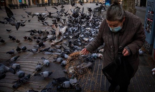 Một phụ nữ cho chim ăn ở Las Ramblas, Barcelona ngày 21.3.2020. Tây Ban Nha hiện đứng thứ 3 thế giới về số ca COVID-19. Ảnh: AP