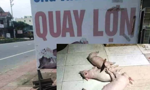Lò quay ông Vinh mua 3 con lợn chết về chuẩn bị làm quay bán cho khách thì bị phát hiện, bắt giữ.
