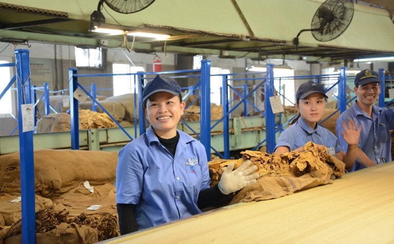 Mặc dù phải ứng phó với nhiều khó khăn trong quá trình chuyển đổi Tổng công ty Khánh Việt luôn dành sự ưu tiên là đảm bảo đời sống người lao động. Ảnh: T.Tuyến