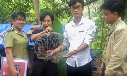 Chị Trảo Chung Thủy Tiên tự bỏ tiền chuộc lại 1 con cu li nặng khoảng 300 gram từ 1 nhóm thợ chuyên săn bắt thú rừng. Ảnh: P.V