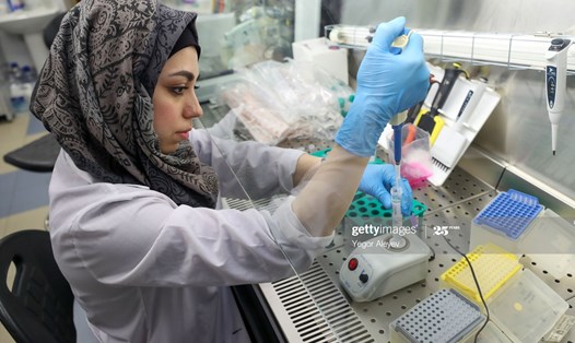 Một nhà nghiên cứu của phòng thí nghiệm Công nghệ tế bào và Di truyền Openlab của Đại học Liên bang Kazan làm việc với vật liệu sinh học. Ảnh: Getty