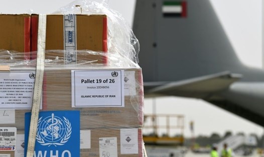 Lô hàng hỗ trợ cùng chuyên gia y tế của WHO trên chuyến bay từ Dubai tới hỗ trợ Iran. Ảnh: AFP