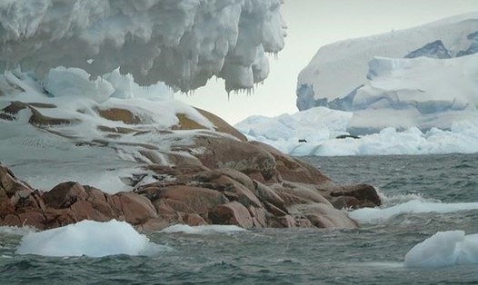 Đảo đá Sif được phát lộ ở Nam Cực do nhiệt độ cao. Ảnh: Mail.